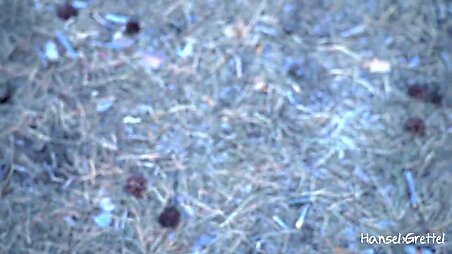 Gorgeous lady with mouth-watering titty has sex with her lover